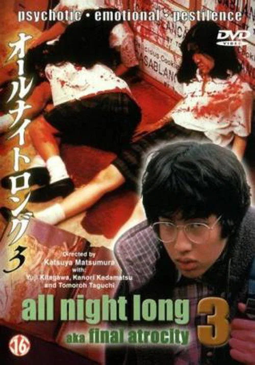 風騷俏佳人3(1996)海報