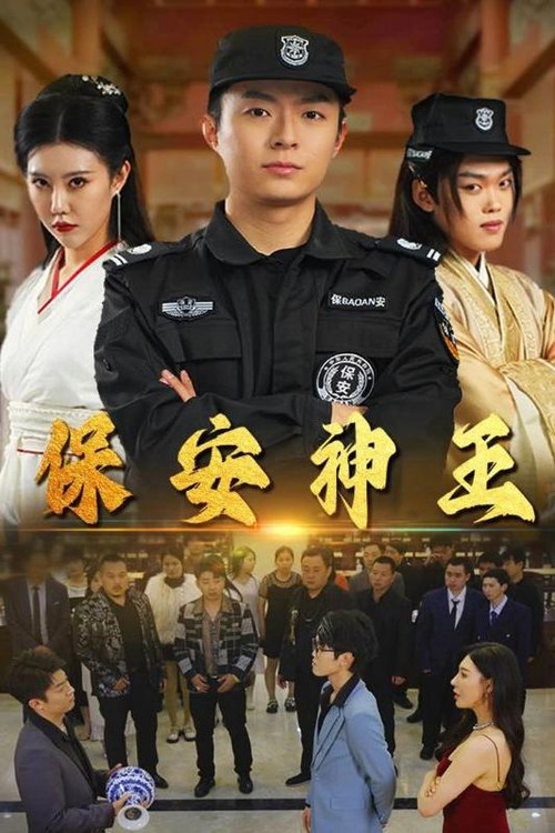 保安神王(2024)海报