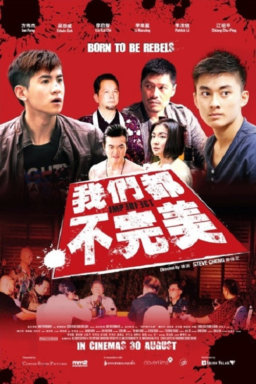 我們都不完美(2012)海報