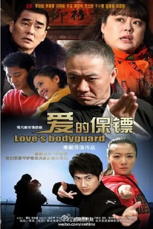 愛的保鏢(2014)海報