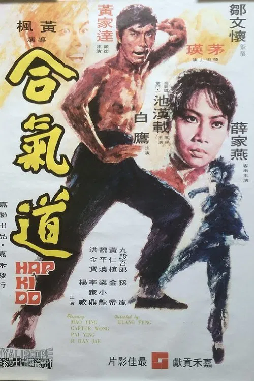 合气道(1972)海报