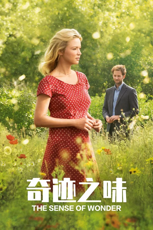 奇蹟之味(2015)海報