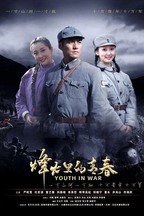 烽火硝煙裡的青春(2020)海報