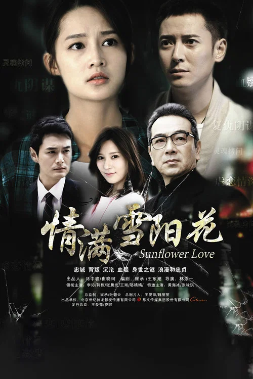 情滿雪陽花(2015)海報