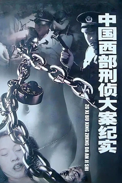 中国西部刑侦大案纪实(2001)海报