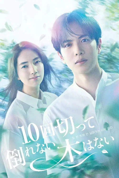 沒有砍十次還不倒的樹(2026)海報