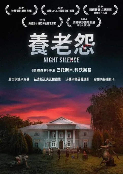 寂静之夜(2024)海报