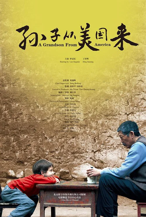 孙子从美国来(2012)海报