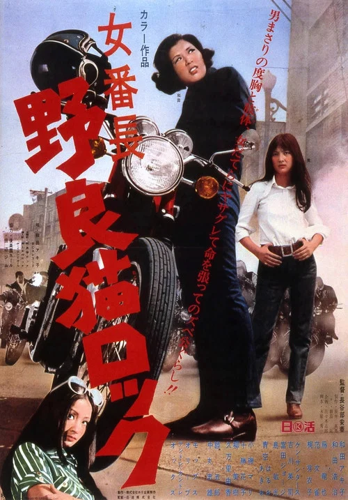 野良猫洛克:女番长(1970)海报