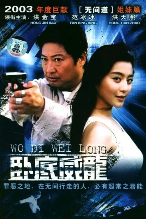 特警飞龙(2002)海报
