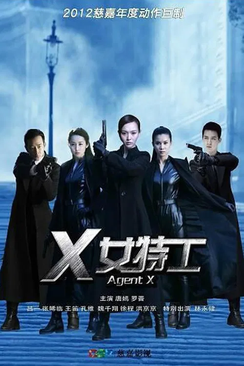 X女特工(2013)海报
