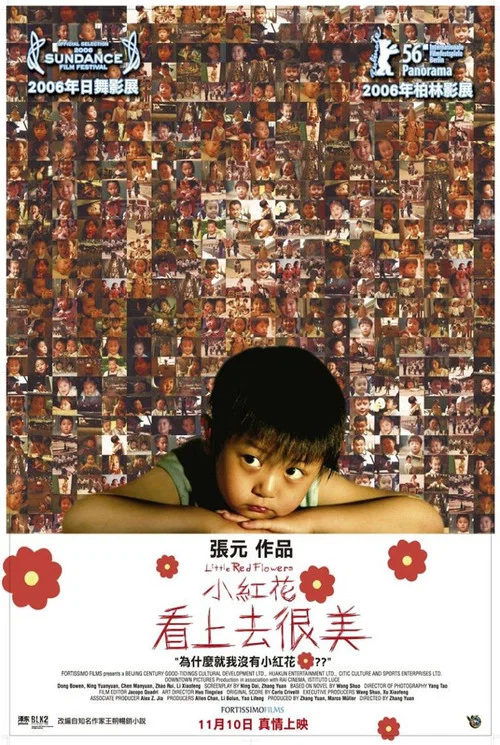 看上去很美(2006)海報