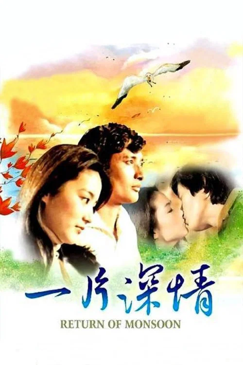 一片深情(1979)海报