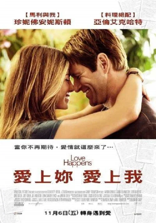 愛不勝防(2009)海報