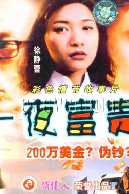 一夜富贵(1998)海报
