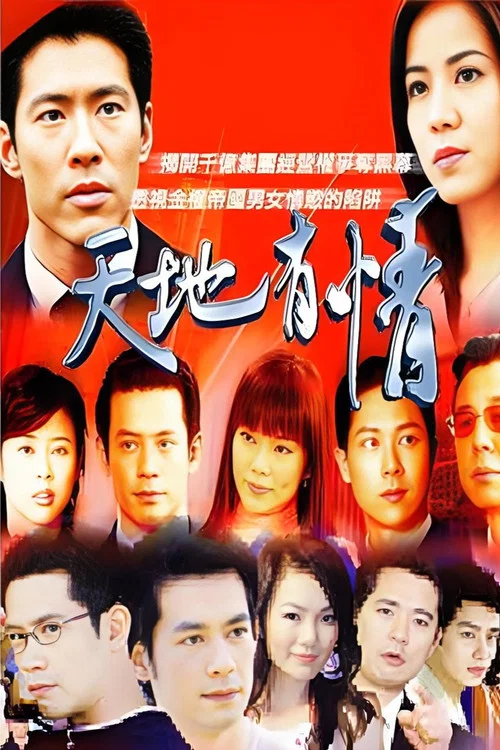 天地有情(2003)海報