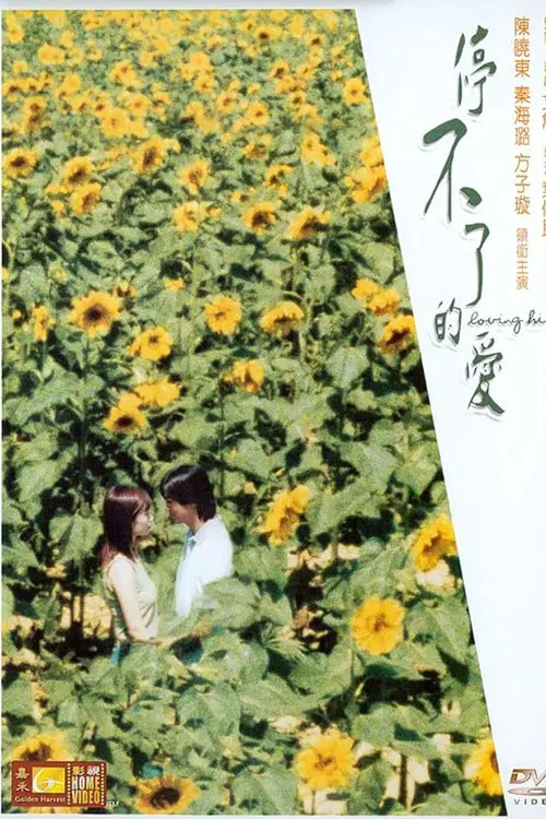 停不了的爱2002(2002)海报