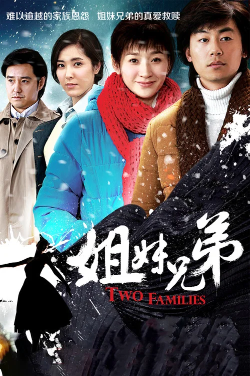 姐妹兄弟(2016)海報