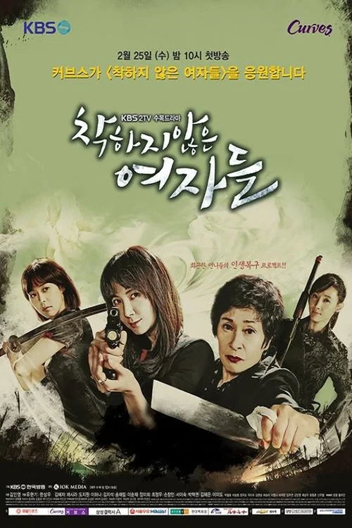 不善良的女人們(2015)海報