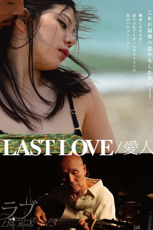 最後的愛人(2014)海報