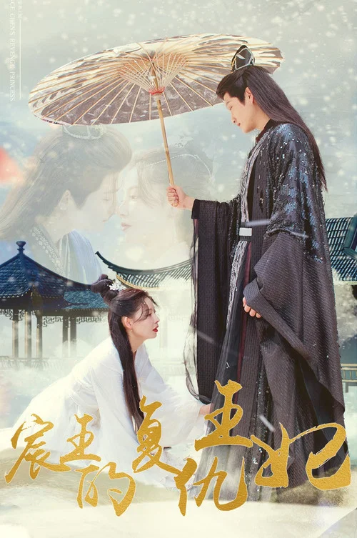 宸王的復仇王妃(2023)海報