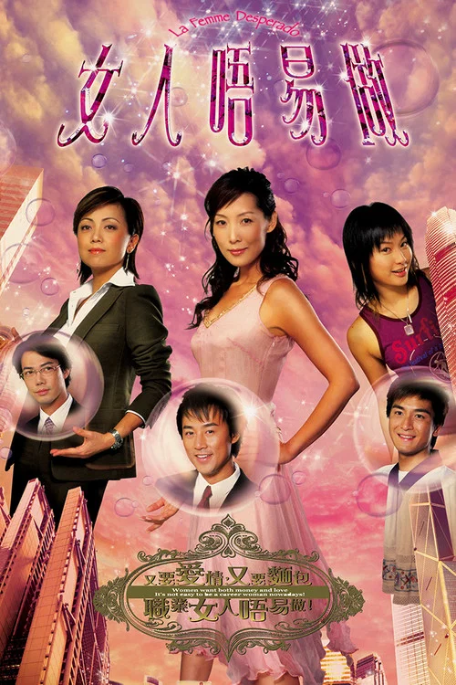 女人不易做國語(2006)海報