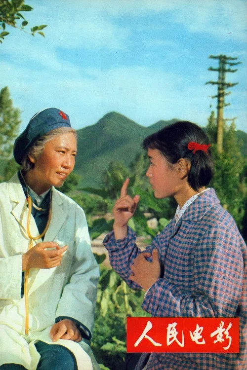 青春(1977)海报