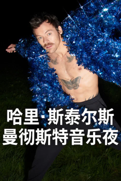 哈里·斯泰尔斯:曼彻斯特音乐夜(2026)海报