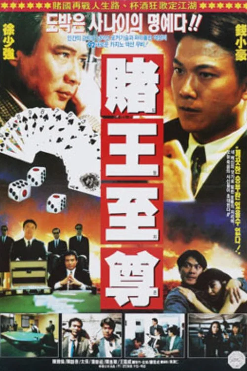 赌王至尊(1991)海报
