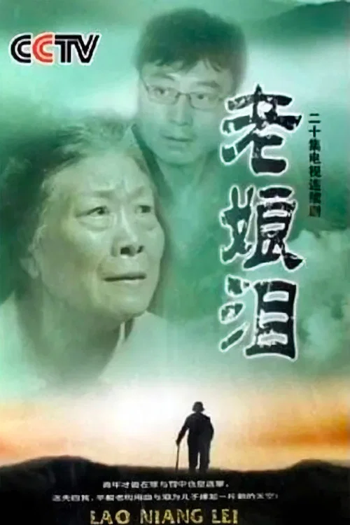 风雨远山(2006)海报