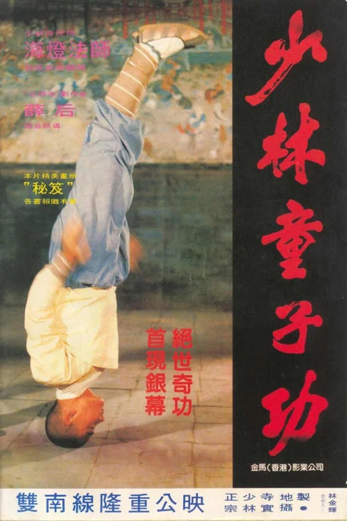 少林童子功(1984)海報