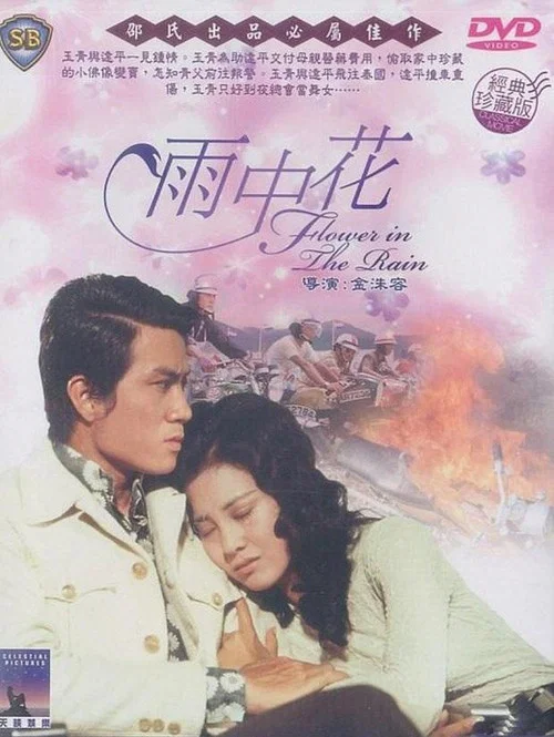 雨中花(1972)海報