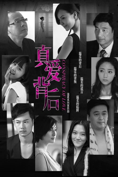 真爱背后(2012)海报