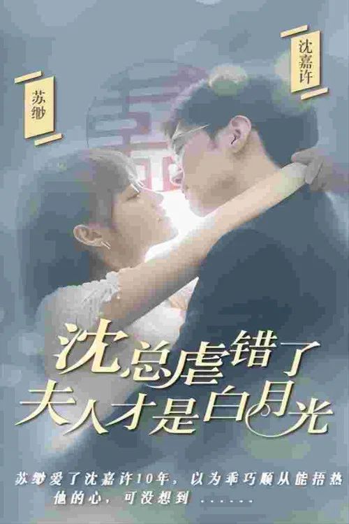 沈总虐错了夫人才是白月光(2023)海报