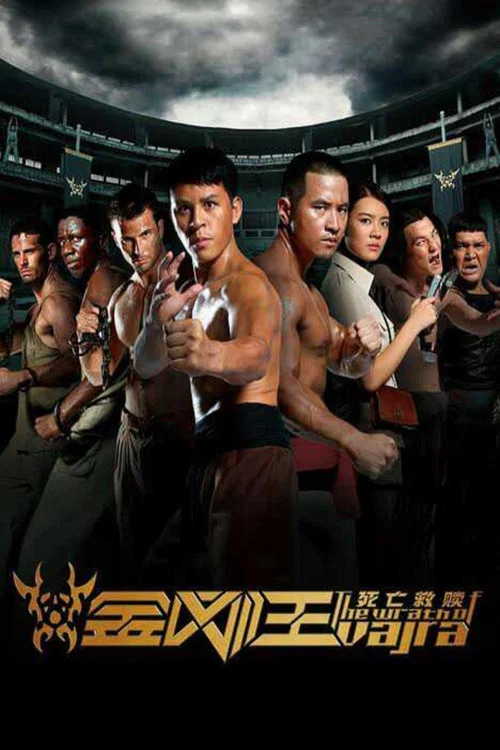 金刚王:死亡救赎(2013)海报