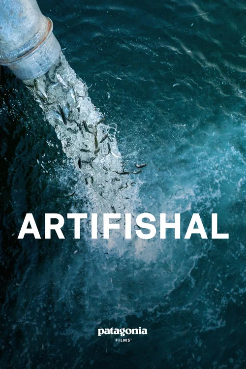Artifishal(2019)海报