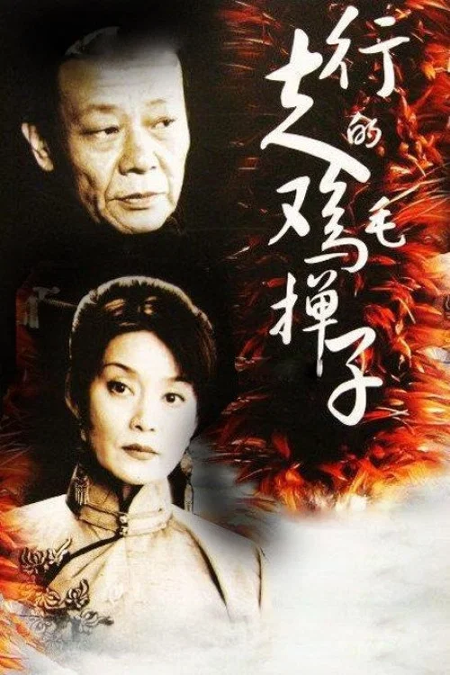 行走的鸡毛掸子(2006)海报