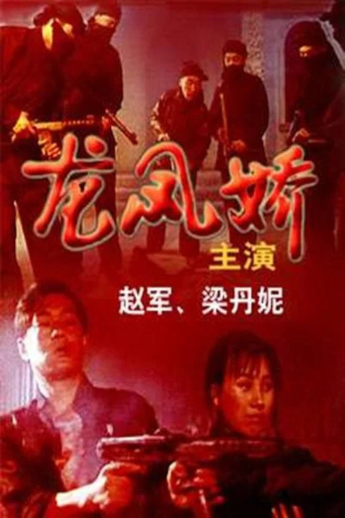 龙凤娇(1993)海报