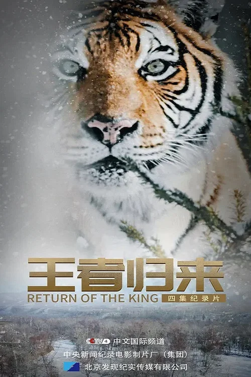 王者歸來(2020)海報
