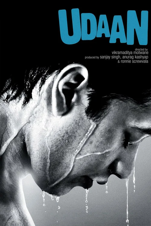 飛行(2010)海報