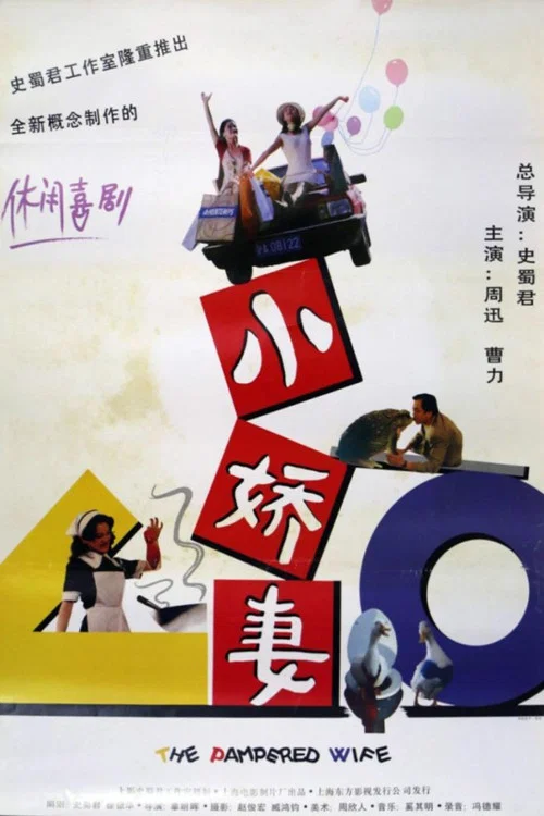 小娇妻(1996)海报