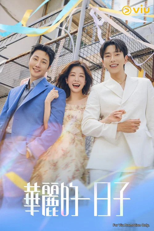 華麗的日子(2025)海報