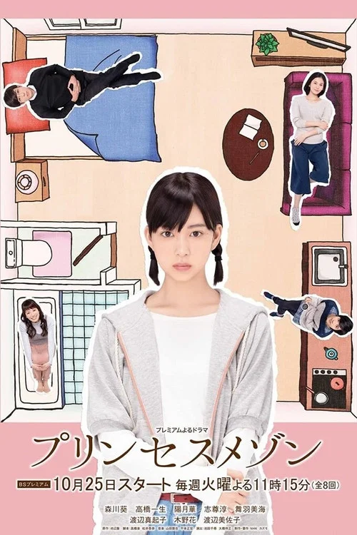 房主(2016)海報