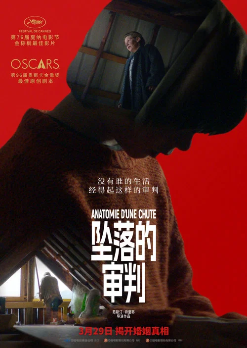 坠落的审判剧照9