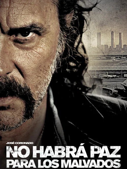 不得安身(2011)海报