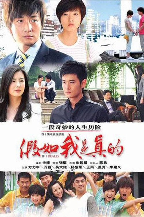 假如我是真的(2012)海报