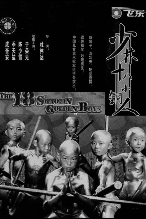 銅馬鐵燕傳奇(1996)海報