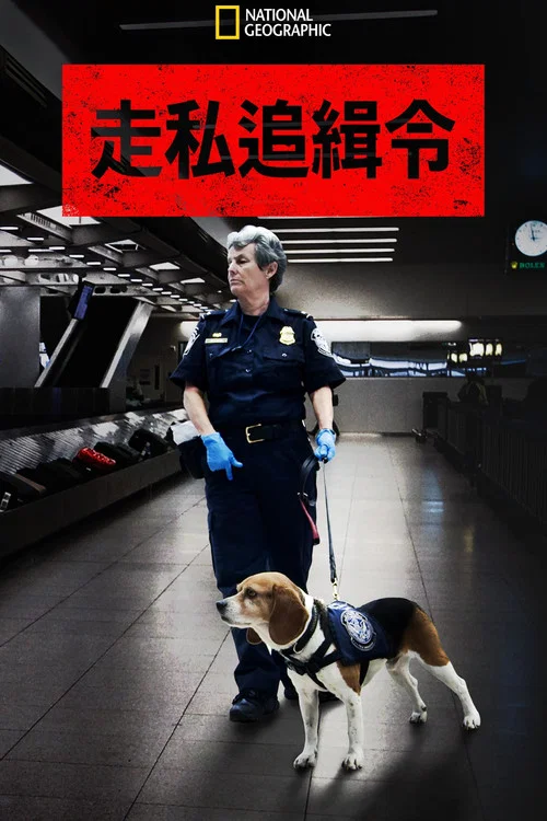 走私追緝令 第八季劇照3