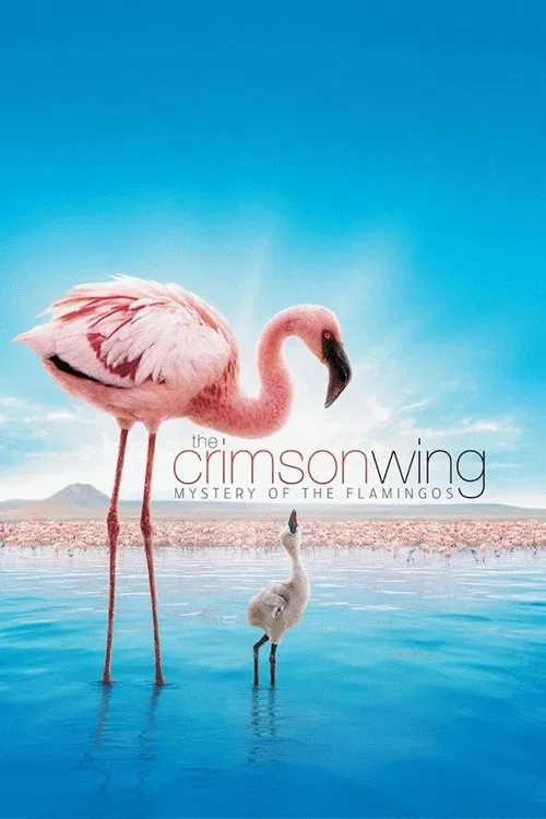 紅色翅膀:火烈鳥故事(2008)海報