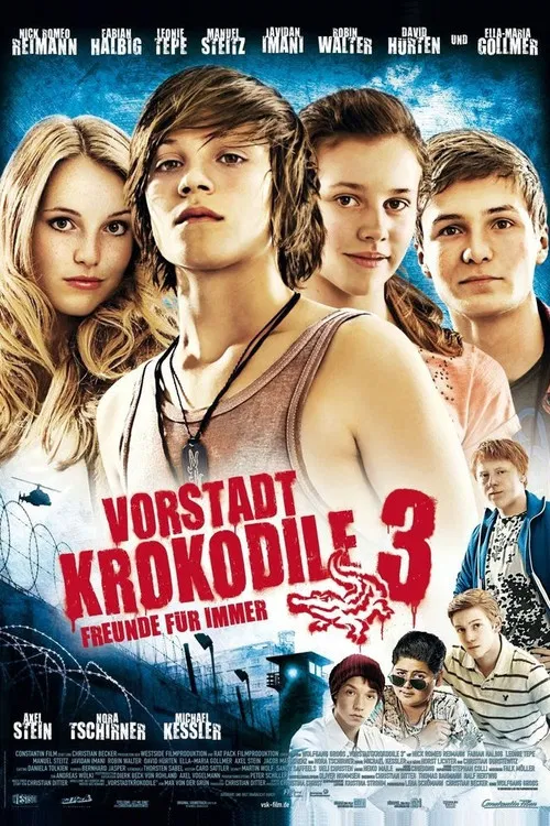 少年鳄鱼队3(2011)海报